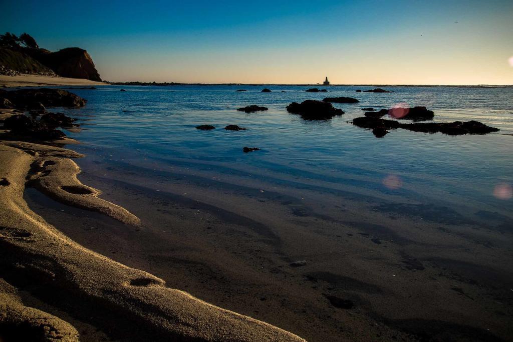 Seal Cove Inn Moss Beach Bagian luar foto