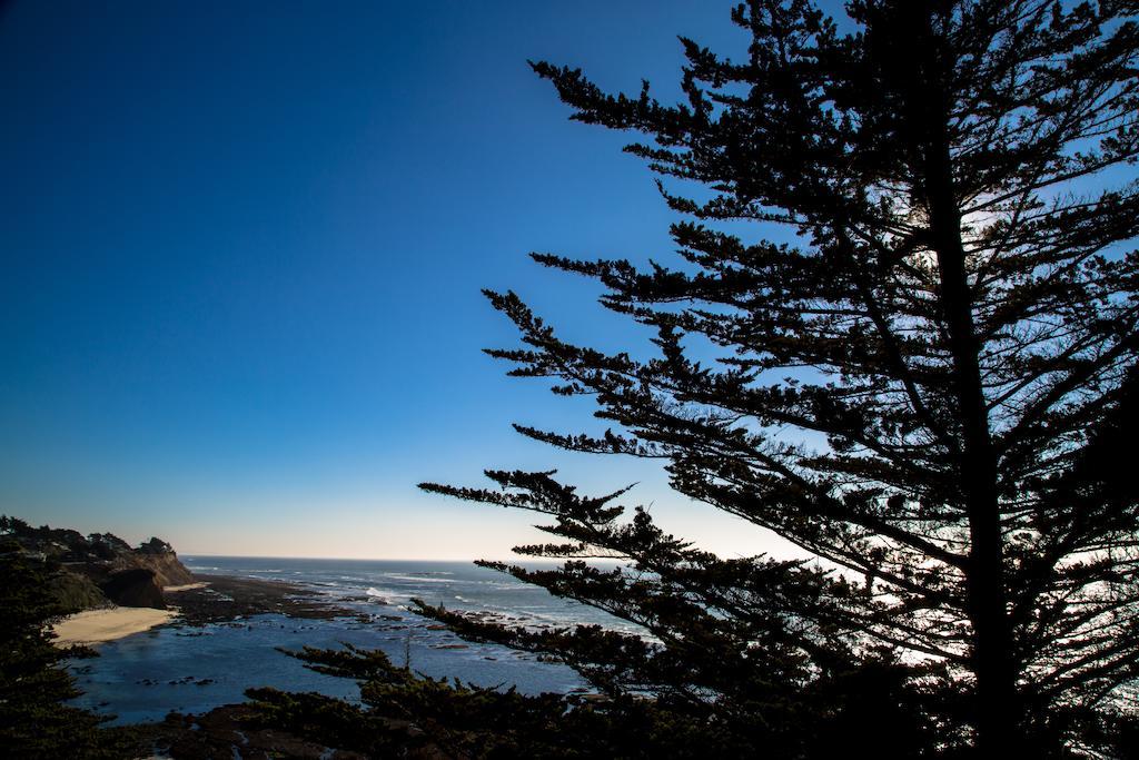 Seal Cove Inn Moss Beach Bagian luar foto