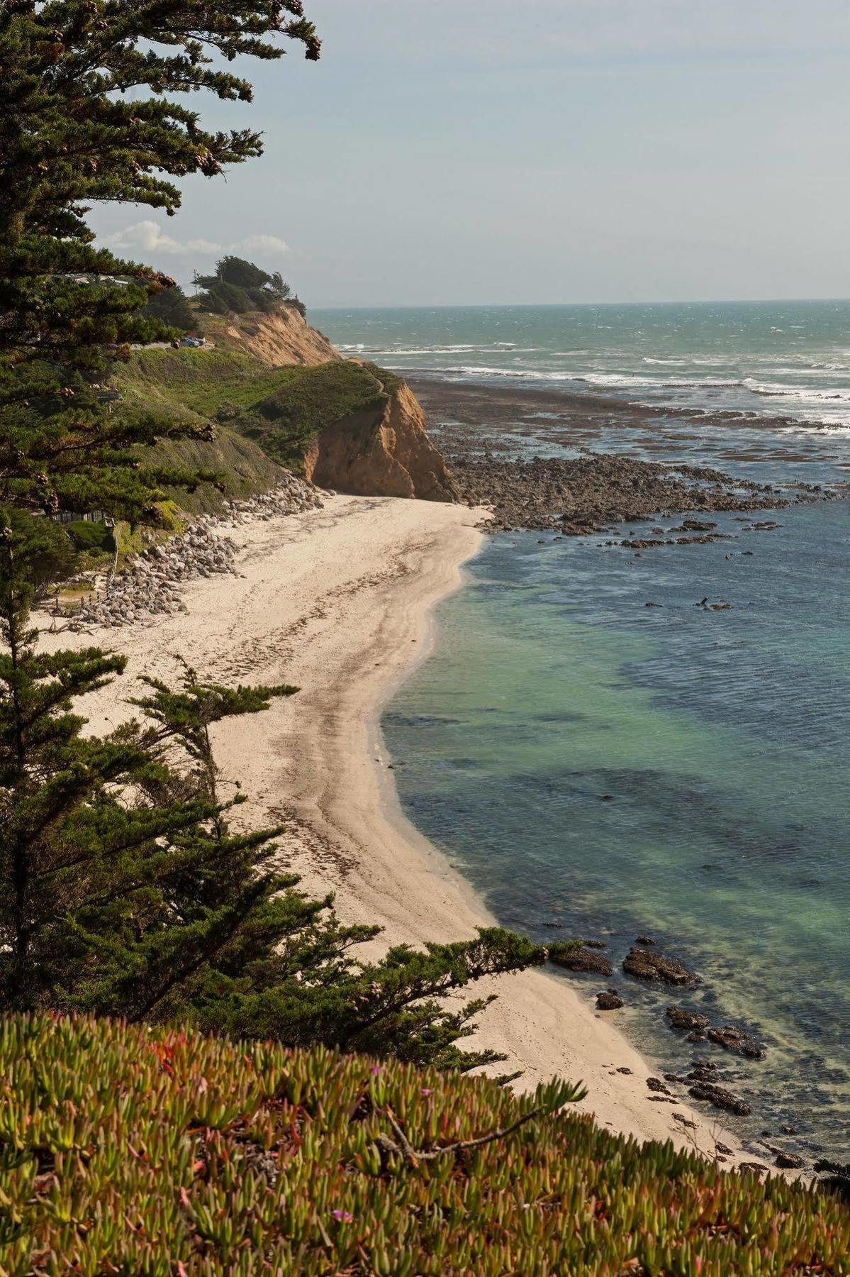 Seal Cove Inn Moss Beach Bagian luar foto