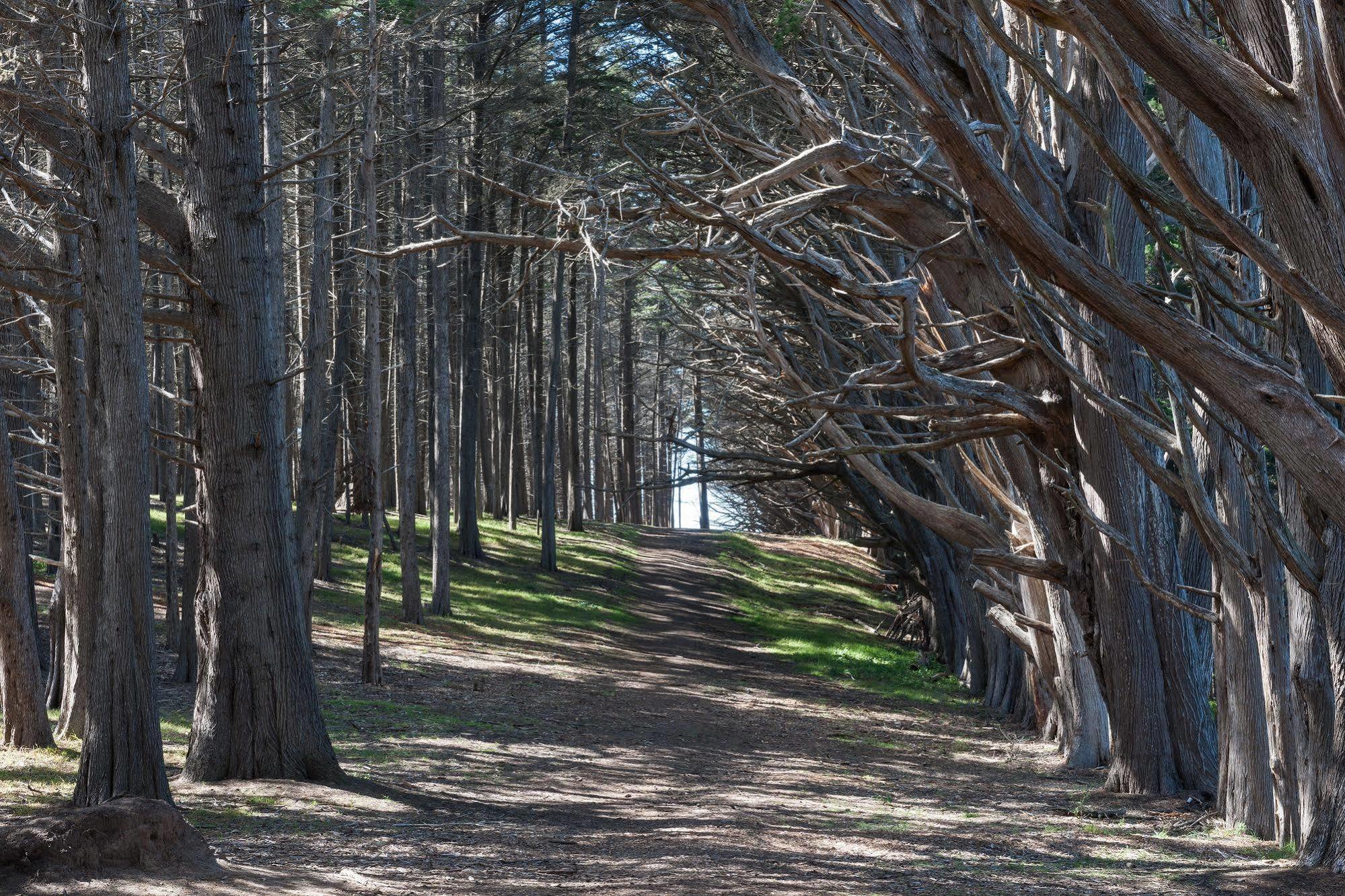Seal Cove Inn Moss Beach Bagian luar foto