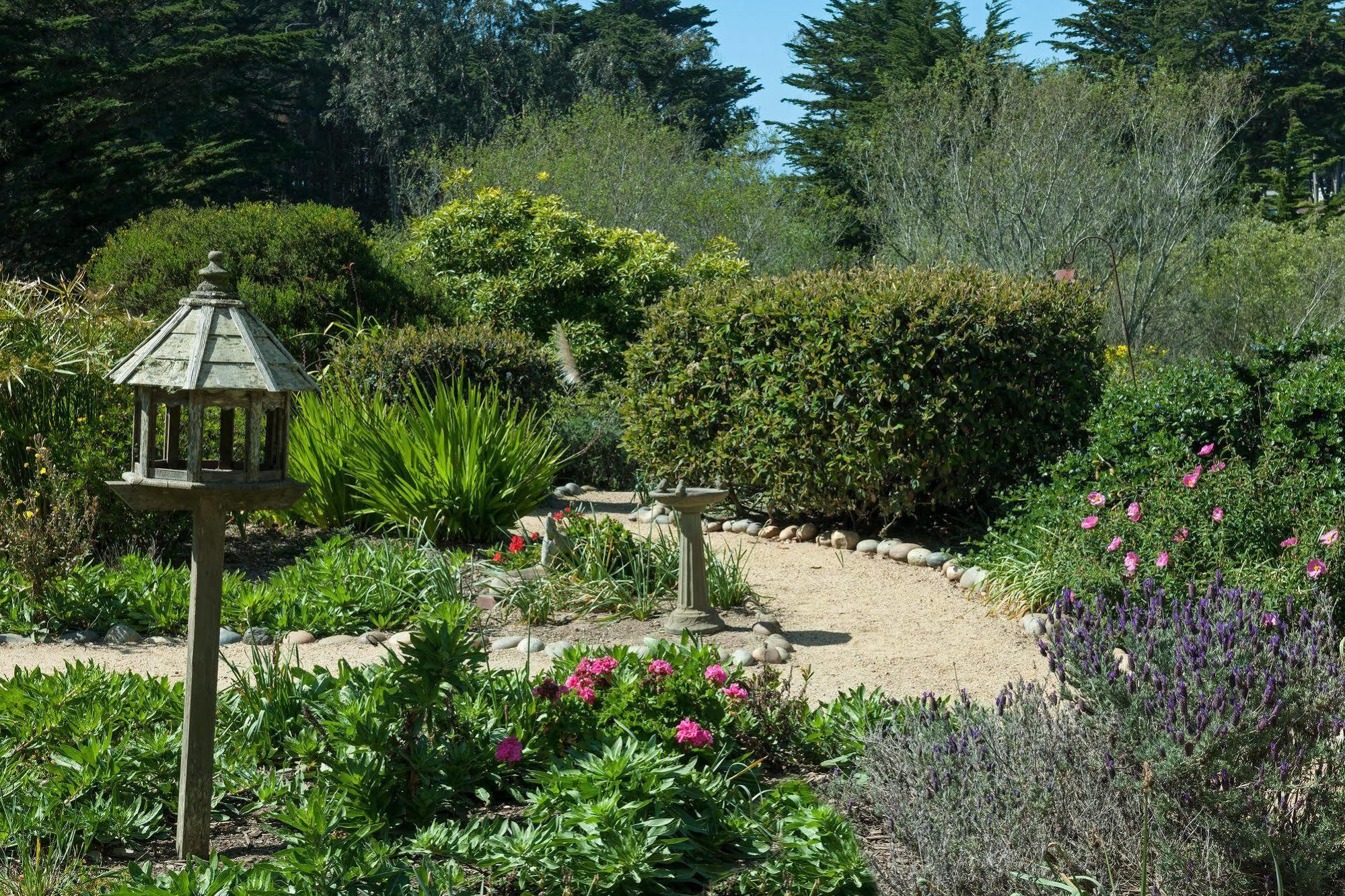 Seal Cove Inn Moss Beach Bagian luar foto
